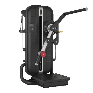 Beste Übungen mit hüftstreckmaschine