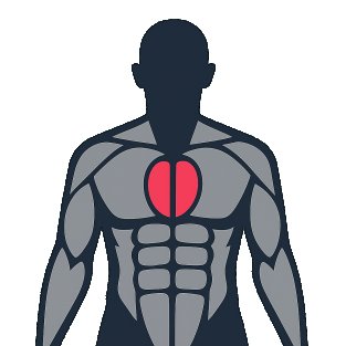 Meilleurs exercices pour travailler le pectoraux internes / moyens