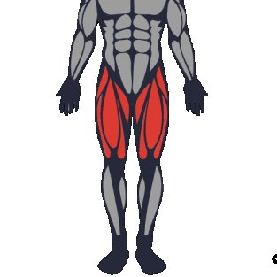 Best exercises to work the quadriceps