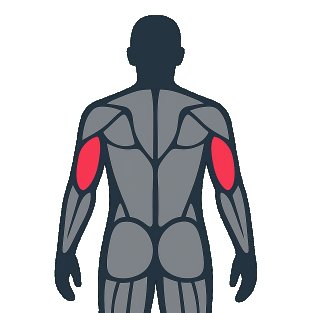 Best exercises to work the triceps