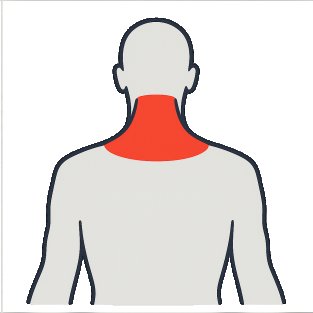 Best exercises to work the neck