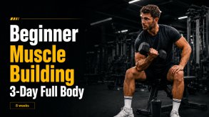 3-tägiges Ganzkörper-Krafttrainingsprogramm für Anfänger