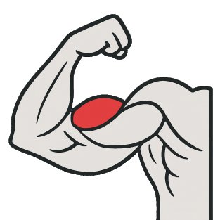 Migliori esercizi per lavorare bicipite – capo lungo