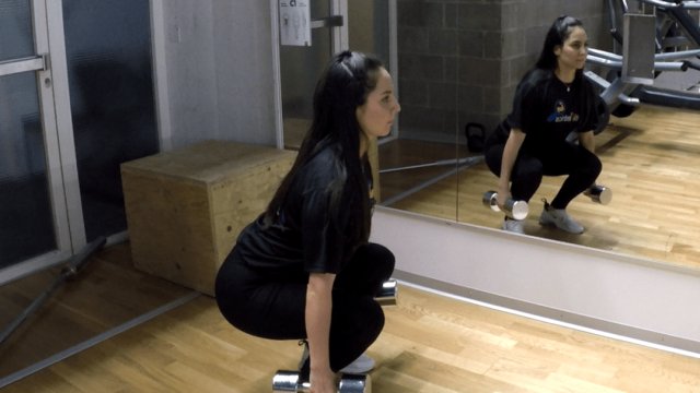Dumbbell Squat