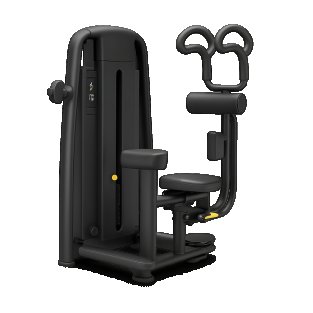 Meilleurs exercices avec machine de rotation du tronc