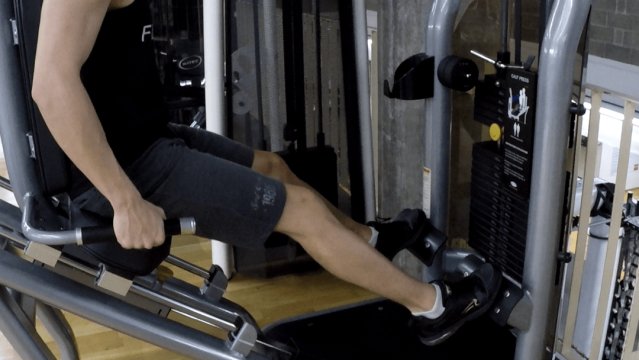 Seated Calf Raise Machine