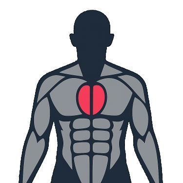 Best exercises to work the inner / mid chest