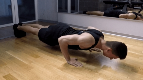 Pectoraux et biceps – routine zyzz originale Pectoraux et biceps – routine zyzz originale