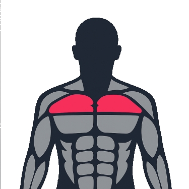 Best exercises to work the upper chest