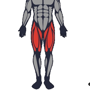 Best exercises to work the quadriceps