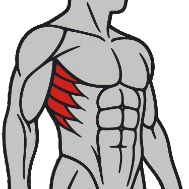 Beste Übungen für den serratus anterior