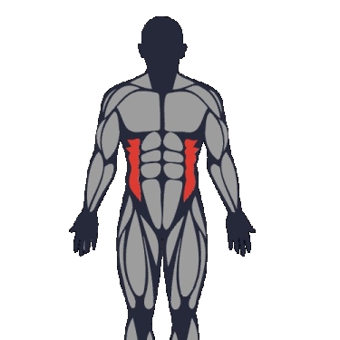 Meilleurs exercices pour travailler le obliques