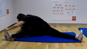 Side Bend Hamstring Stretch with Legs Apart