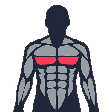 Best exercises to work the lower chest